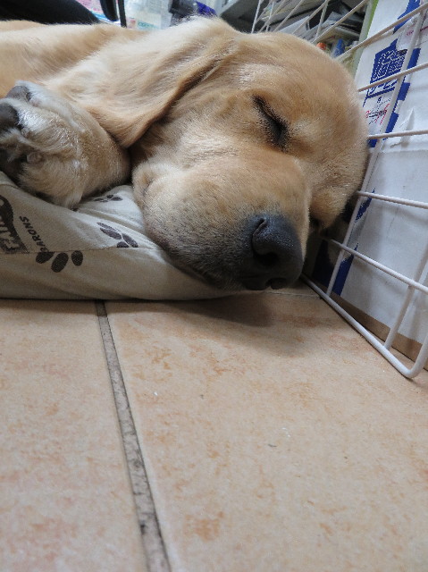 ファイル 7006-3.jpg