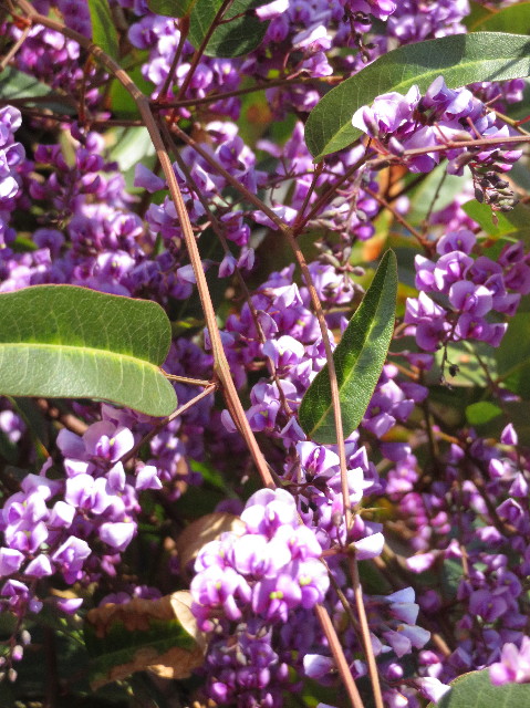 ファイル 7006-4.jpg