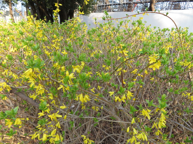 ファイル 7007-3.jpg