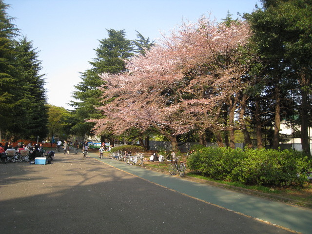 ファイル 701-2.jpg