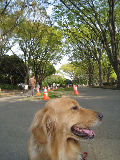 ファイル 701-3.jpg