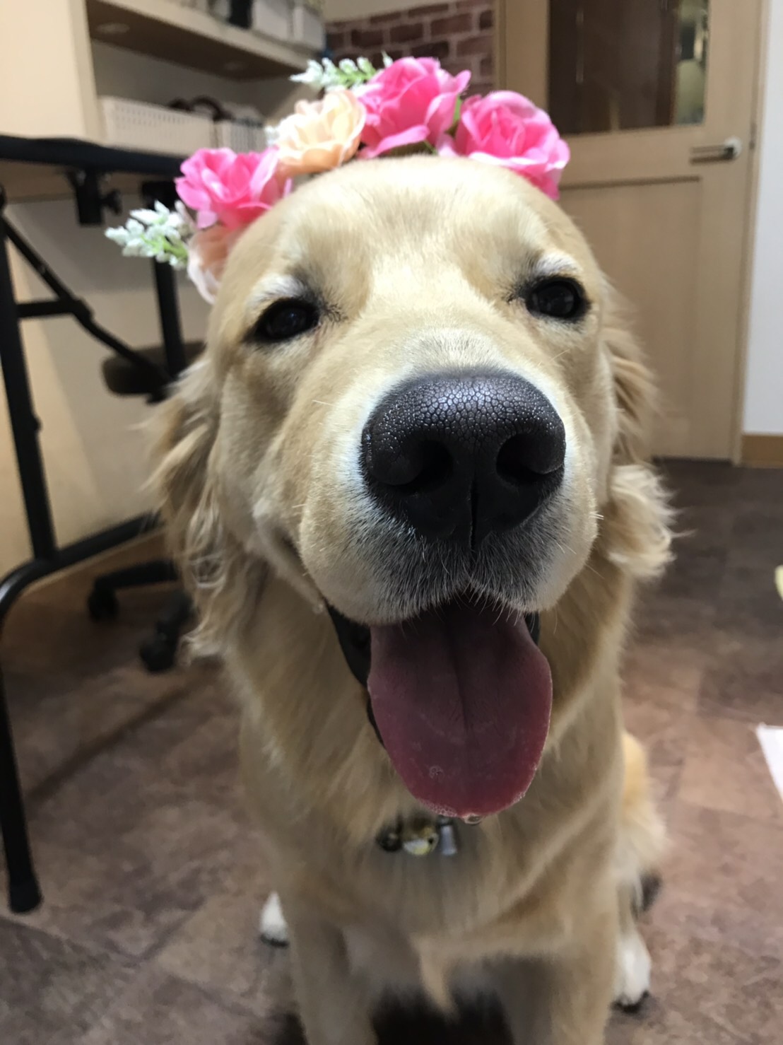 ファイル 7012-1.jpg