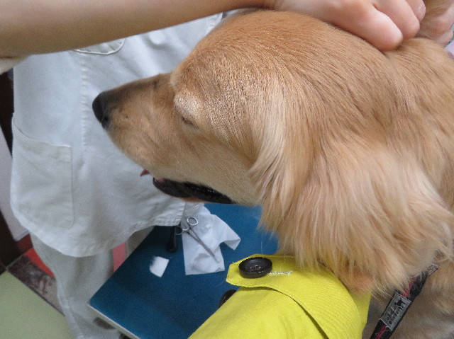 ファイル 7013-2.jpg