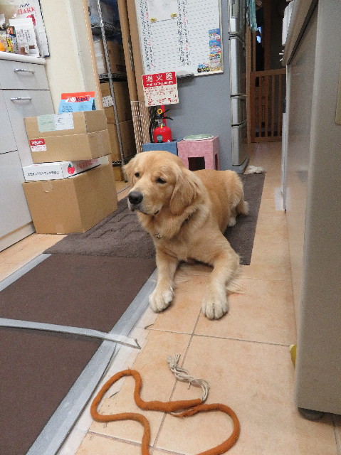 ファイル 7014-1.jpg