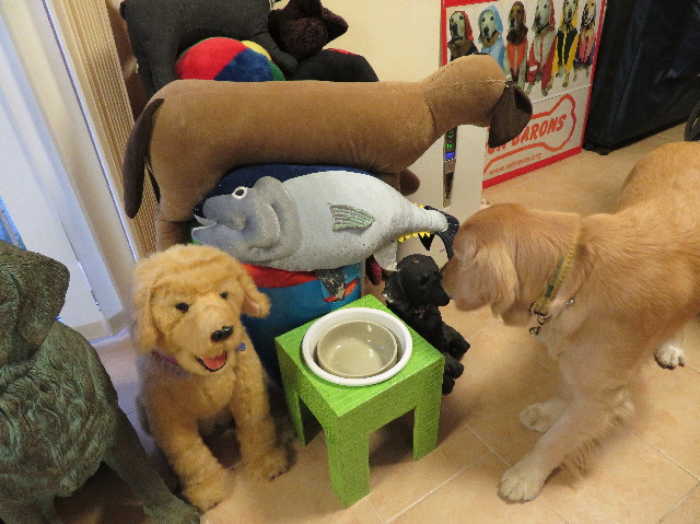 ファイル 7014-3.jpg