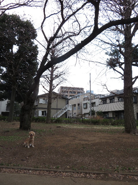 ファイル 7014-4.jpg