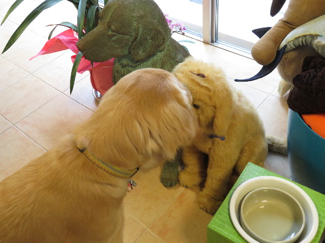 ファイル 7015-1.jpg