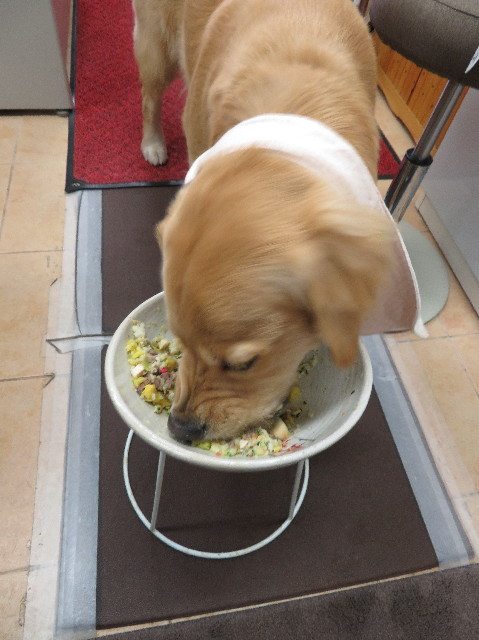 ファイル 7017-1.jpg