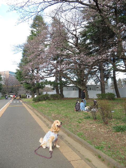 ファイル 7018-2.jpg