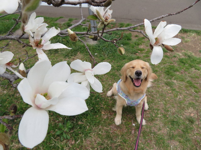 ファイル 7019-5.jpg