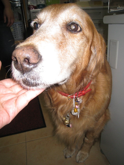 ファイル 702-4.jpg