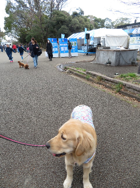 ファイル 7020-1.jpg