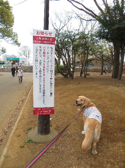 ファイル 7020-2.jpg