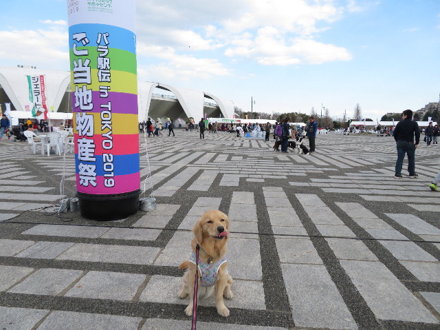 ファイル 7020-3.jpg