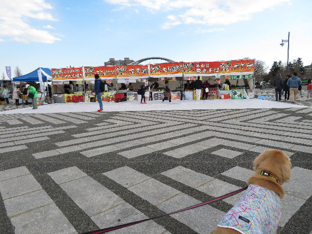 ファイル 7020-4.jpg