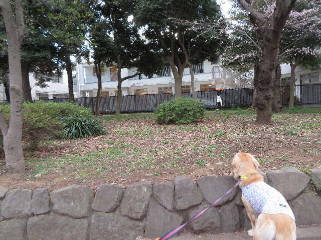 ファイル 7020-5.jpg