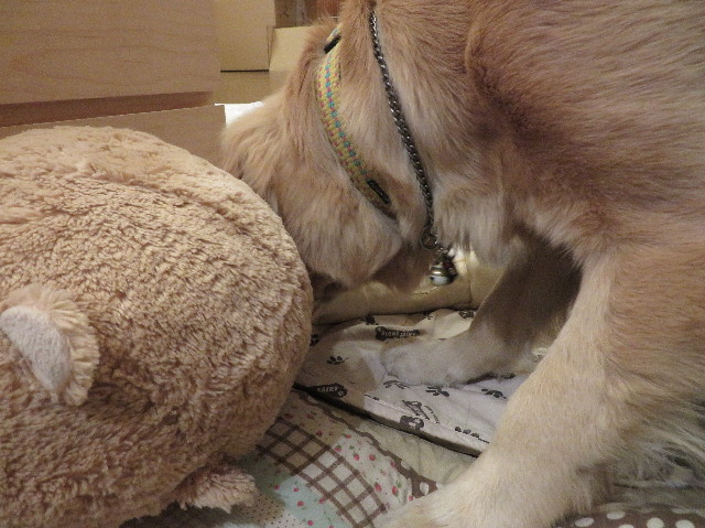 ファイル 7021-2.jpg