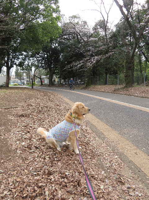 ファイル 7022-2.jpg