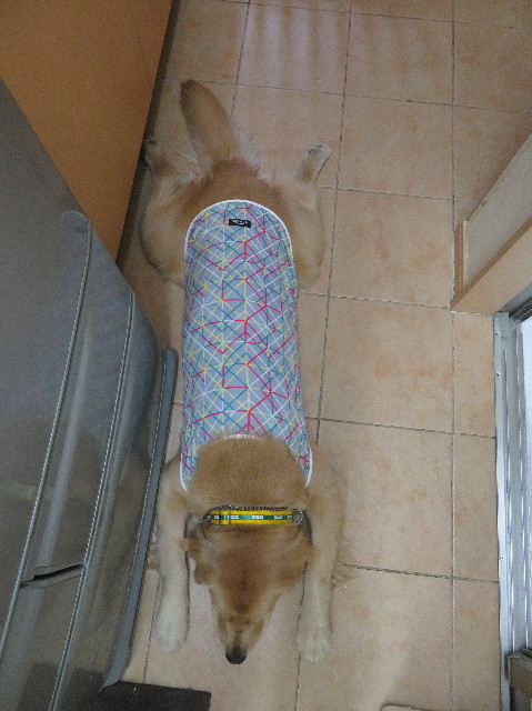 ファイル 7022-3.jpg