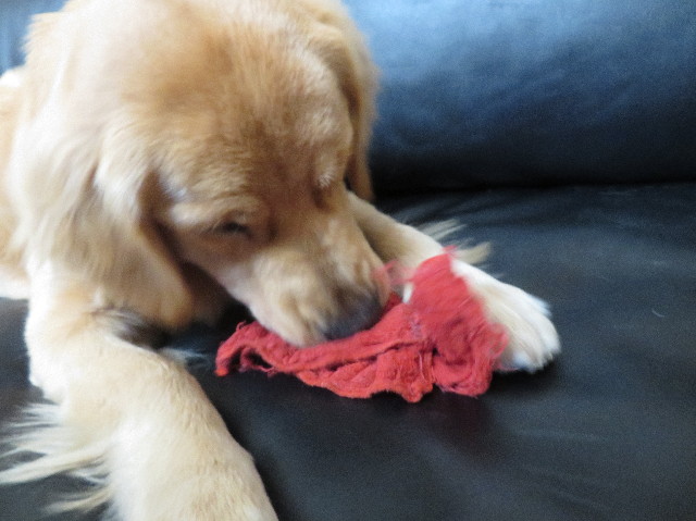 ファイル 7023-2.jpg