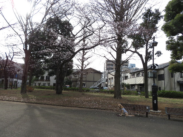 ファイル 7024-3.jpg