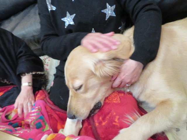 ファイル 7026-2.jpg