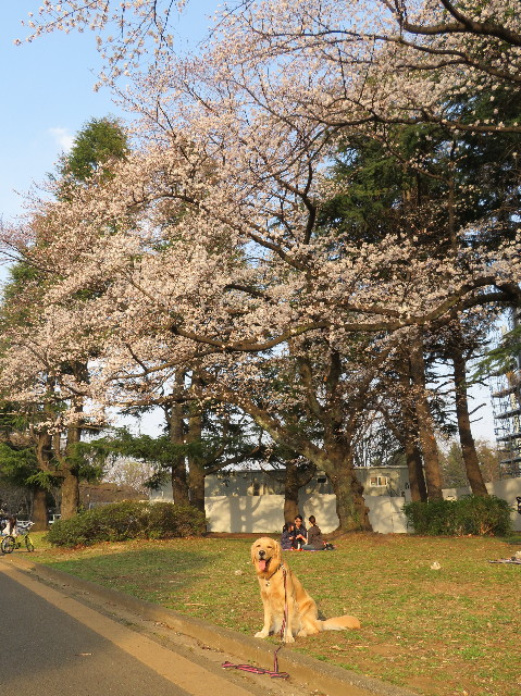 ファイル 7027-3.jpg