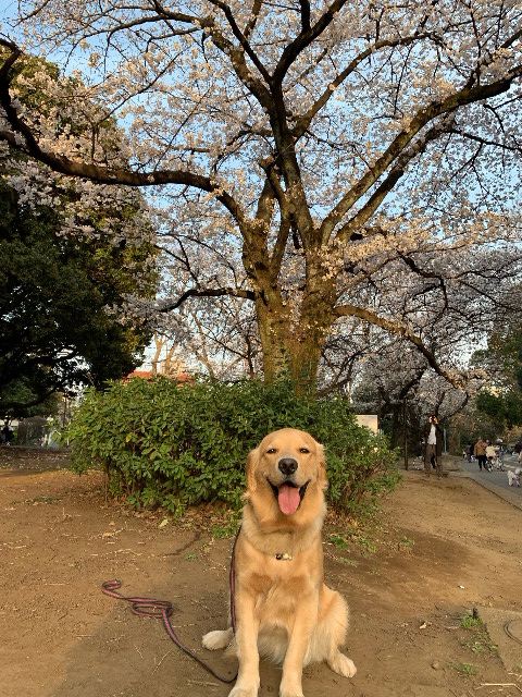 ファイル 7027-5.jpg