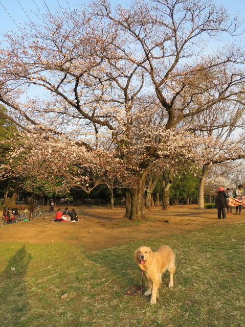 ファイル 7028-1.jpg