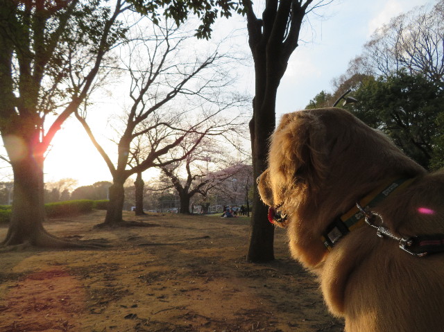 ファイル 7028-4.jpg