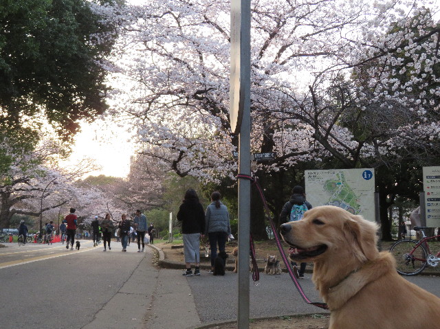 ファイル 7028-5.jpg