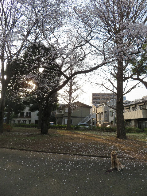 ファイル 7030-4.jpg