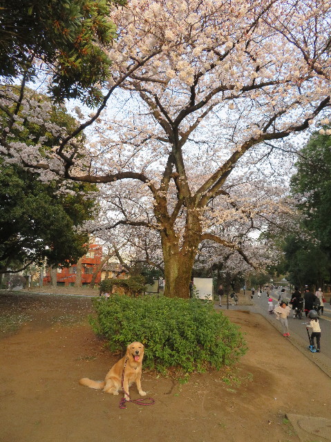 ファイル 7030-5.jpg