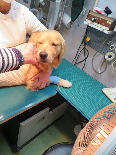 ファイル 7033-5.jpg