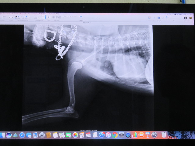 ファイル 7034-4.jpg