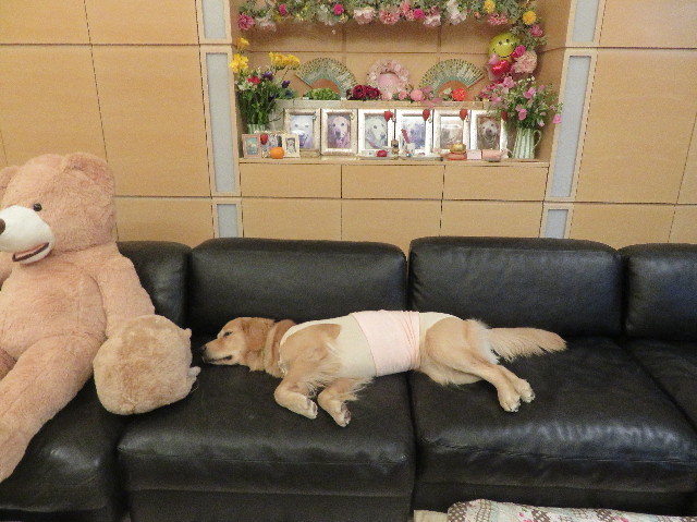 ファイル 7038-3.jpg