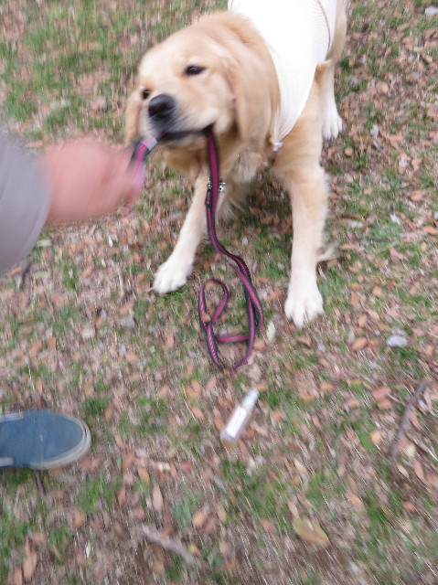 ファイル 7039-5.jpg