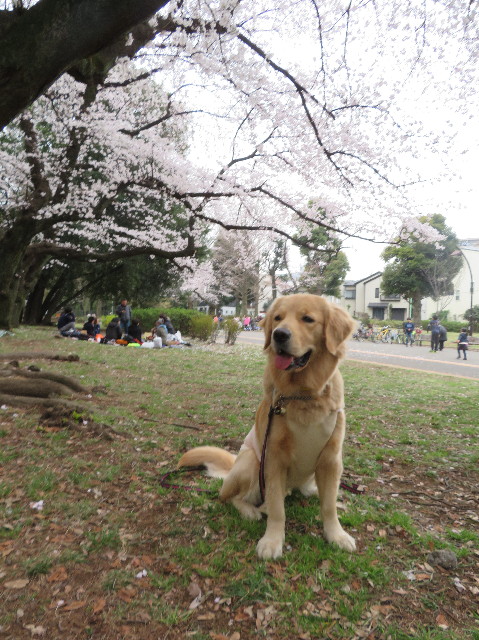 ファイル 7040-5.jpg