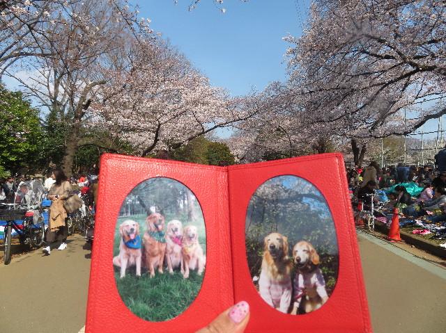 ファイル 7041-2.jpg