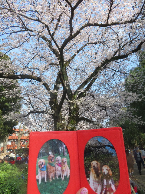 ファイル 7041-3.jpg