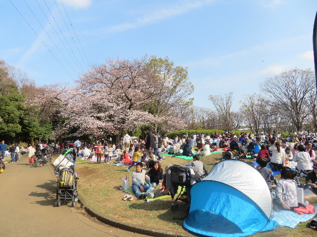 ファイル 7042-2.jpg