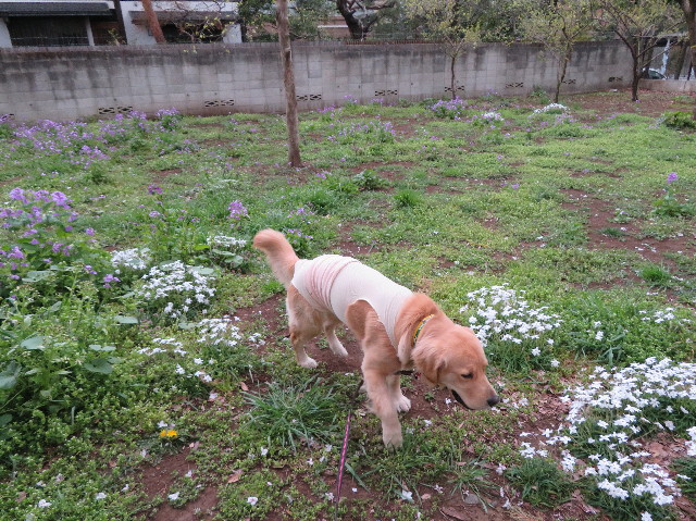 ファイル 7045-4.jpg