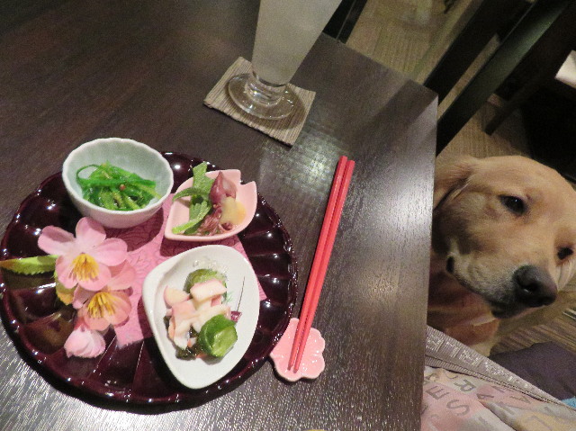 ファイル 7048-1.jpg