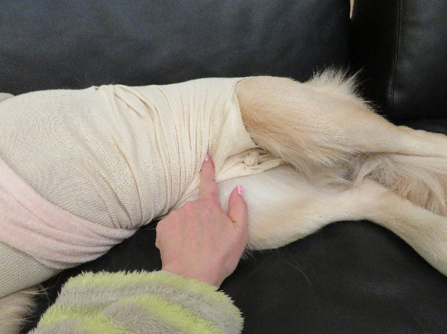 ファイル 7048-3.jpg