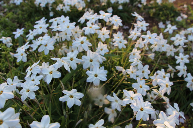 ファイル 7049-4.jpg