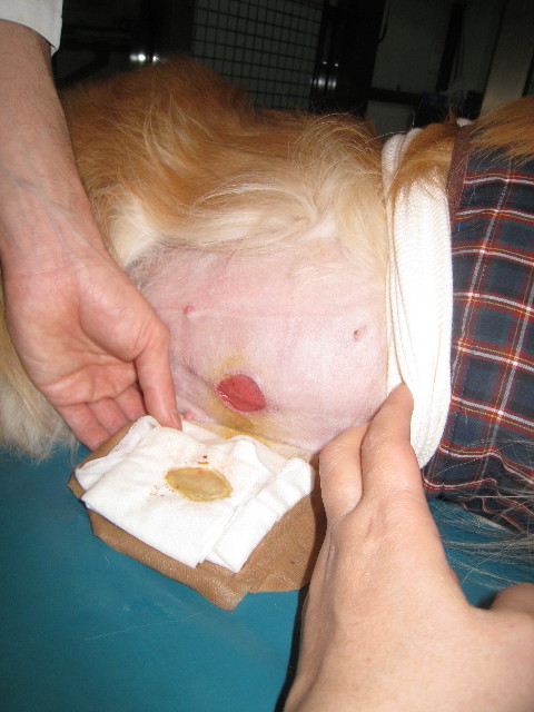 ファイル 705-2.jpg