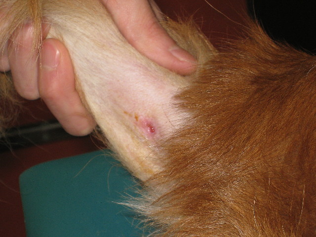 ファイル 705-3.jpg