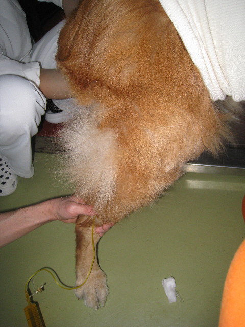 ファイル 705-4.jpg