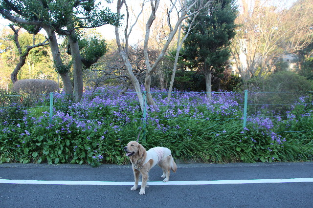 ファイル 7050-2.jpg