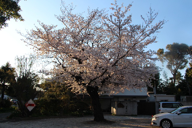 ファイル 7050-4.jpg